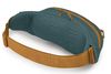 купить Поясная сумка Osprey Daylite Waist torrent blue hip (810165743335) в Кишинёве 