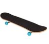 cumpără Skateboard miscellaneous Octopus Blue Best Sporting în Chișinău 