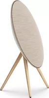 cumpără Boxe Hi-Fi Bang & Olufsen Beosound A9 5th Gen Gold Tone în Chișinău 
