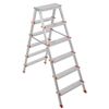 cumpără Scară Sarayli Double Side Ladder 6+6 în Chișinău 