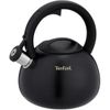 купить Чайник Tefal N4180410 Duetto+ 2,5l в Кишинёве 