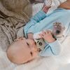 cumpără Iinel dentiție BabyOno 1633 Jucarii teether COALA COCO în Chișinău 