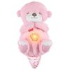 купить Мягкая игрушка Fisher Price JLJ33 Vidră cu lumină și sunet, roz в Кишинёве 