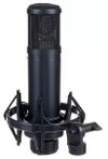 купить Микрофон SE Electronics SE 2200 в Кишинёве 