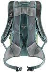 купить Рюкзак спортивный Deuter Race Air 10 meadow-ivy в Кишинёве 