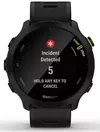 купить Смарт часы Garmin Forerunner® 55 (010-02562-10) в Кишинёве 