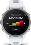 cumpără Ceas inteligent Garmin Forerunner 170 Music, GPS, WiFi, Whitestone/Cloud Blue, WW (010-03920-11) în Chișinău 