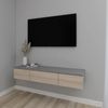 купить Тумба напольная для TV Smartex (16570) Т10 120 TV-Навесная Grafit+Stejar Deschis в Кишинёве 