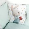 купить Детское постельное белье PernaMea Set lenjerie 8 piese Cosita Iepuras Turcoaz (PM.105897/2) в Кишинёве 