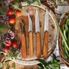 купить Набор ножей Opinel 002163 Box The Essentials Olivewood в Кишинёве 