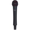 купить Микрофон Xvive M5D Dual Microphone Wireless в Кишинёве 