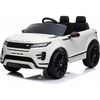 купить Электромобиль Richi RRE99/2 alba Range Rover Evoque в Кишинёве 