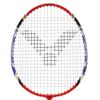 купить Инвентарь для бадминтона Victor 110100 Paleta Badminton ST-1650 в Кишинёве 
