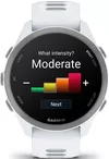 cumpără Ceas inteligent Garmin Forerunner 170, GPS, Whitestone/Cloud Blue, WW (010-03920-01) în Chișinău 