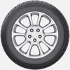 купить Шина Fortune 215/55 R18 99V FSR-303 в Кишинёве 