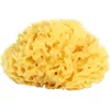 купить Аксессуар для купания OK Baby 38471400 Натуральная губка для ванны в виде сот, размер 14 в Кишинёве 