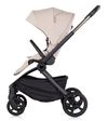 купить Детская коляска Chipolino KKWN02602LA Winner latte в Кишинёве 