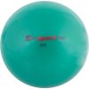 купить Мяч inSPORTline 9719 Minge yoga 2 kg IN3489 PVC sand Yoga Ball в Кишинёве 