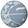 cumpără Minge Nike Everyday Playground 8P GRAPHIC, marime 7, gri, baschet în Chișinău 