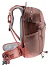 купить Туристический рюкзак Deuter Trail 23 SL raisin-caspia (3440424 6507 0) в Кишинёве 