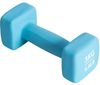 купить Гантель miscellaneous Pure Neopren Dumbbell Set 2x3kg в Кишинёве 