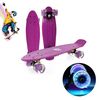 купить Penny Board со светом в Кишинёве 