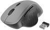 cumpără Mouse Gembird MUSW-6B-02-BG în Chișinău 