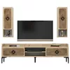 купить Тумба напольная для TV Trendy Samba, Stejar 180x52x35cm в Кишинёве 