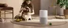 cumpără Filtru pentru purificator de aer Xiaomi Smart Pet Care Air Purifier Filter în Chișinău 