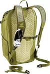 купить Рюкзак спортивный Deuter Speed Lite 21 linden-cactus в Кишинёве 