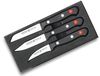 купить Набор ножей Wusthof 1125060310 Set 3 buc Cutite Gourmet в Кишинёве 
