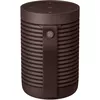 cumpără Boxă portativă Bluetooth Bang & Olufsen Beosound Explore Chestnut în Chișinău 