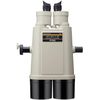 купить Бинокль Nikon 20x120 Ⅳ W/Fork Mount в Кишинёве 