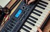 купить MIDI-клавиатура Novation Impulse 25 в Кишинёве 