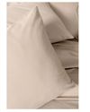 cumpără Lenjerie de pat Cotton Box Plain Beige Ranfors (2 persoane Euro) în Chișinău 
