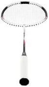 cumpără Echipament pentru badminton miscellaneous 6469 Paleta badminton Abisal NR305 Carbon 14-00-326 în Chișinău 