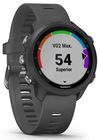 cumpără Ceas inteligent Garmin Forerunner 245 Grey în Chișinău 