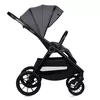 купить Детская коляска Lionelo Carucior 2in1 Layla Grey Stone в Кишинёве 