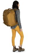 cumpără Rucsac sportiv Osprey Porter 46 Brindle Brown (843820166477) în Chișinău 