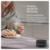 cumpără Boxă portativă Bluetooth Yandex YNDX-00020G Alisa Station Mini Gray în Chișinău 