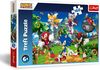 купить Головоломка Trefl 15421 Puzzles 160 Sonic and friends Sega Sonic The Headgehod в Кишинёве 