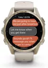 купить Смарт часы Garmin Fenix 8 – 43 mm, Sapphire, Soft Gold with Fog Gray (010-02903-11) в Кишинёве 