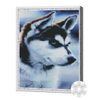 купить Картина по номерам Art Gallery QB204798 Mozaic cu diamante patrate 40x50cm Catelus husky в Кишинёве 