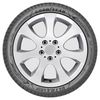купить Шина Goodyear 215/55 R17 Ultragrip Performance в Кишинёве 