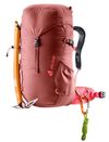 cumpără Rucsac turistic Deuter Climber 22 redwood-hibiscus în Chișinău 