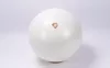 купить Мяч LivePro LP9005/65/WH Exercise Ball 65cm в Кишинёве 