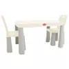 cumpără Set de mobilier pentru copii Richi (04680/11) Masa in set cu scaune gri/alb în Chișinău 