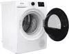 купить Сушильная машина Gorenje DPNE83GNLWIFI/UA в Кишинёве 