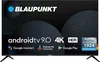купить Телевизор Blaupunkt 58UN265 в Кишинёве 