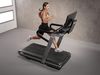 купить Беговая дорожка Technogym 4300 Run (max.160kg) (19902) в Кишинёве 
